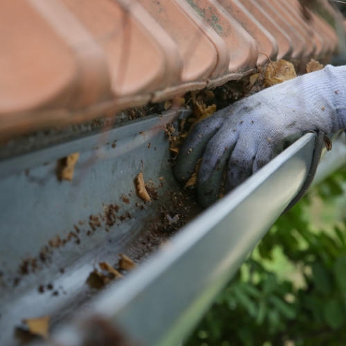 Gutter cleaning in Wichita Kansas