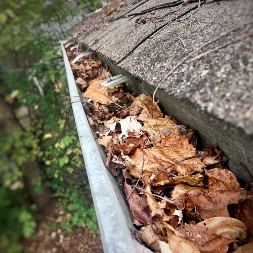 Gutter cleaning in Wichita Kansas