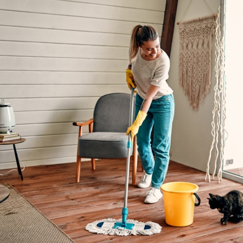 Maid Services in Wichita Kansas